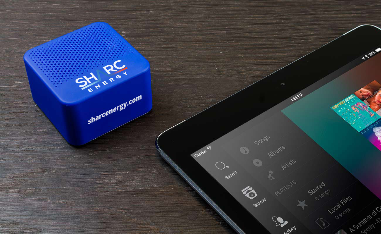 Ray - Custom Speaker gallery thumbnail