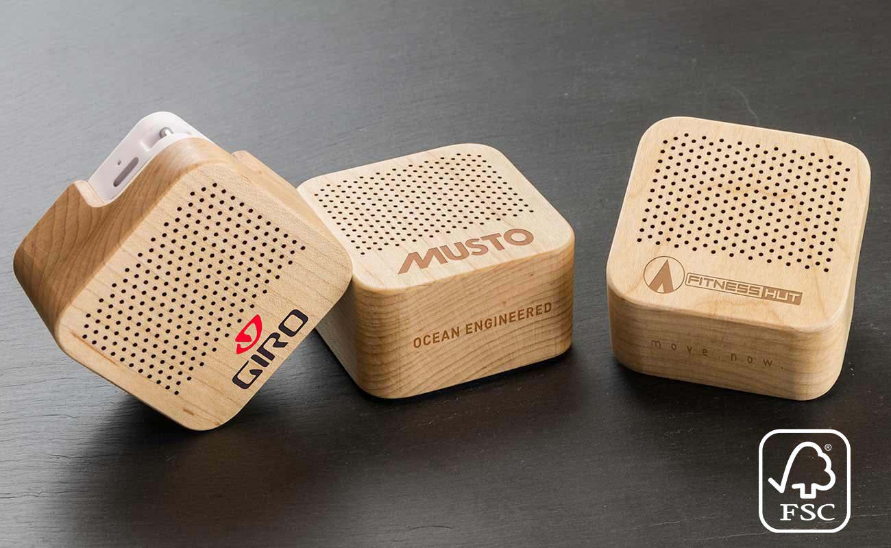 Seed - Custom Wooden Speakers